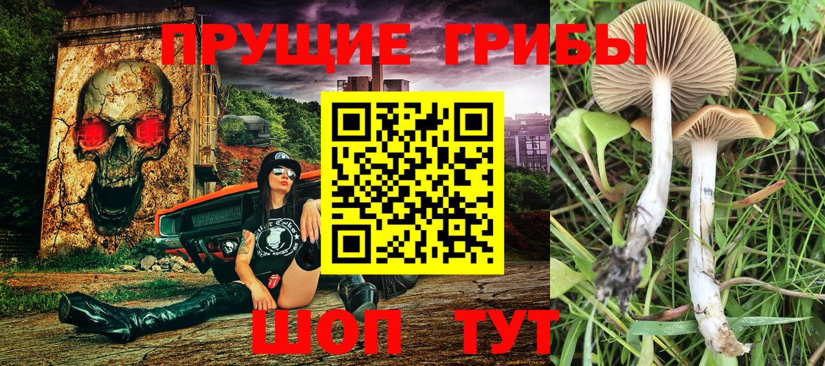 Галлюциногенные грибы MAGIC MUSHROOMS Домодедово