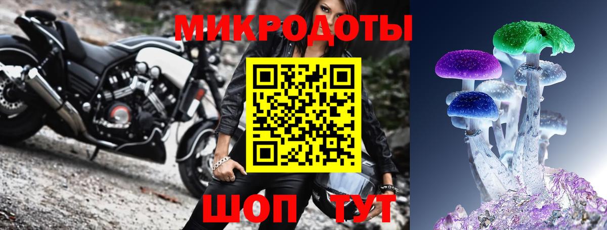 Псилоцибиновые грибы Cubensis  Вход с VPN  Домодедово 